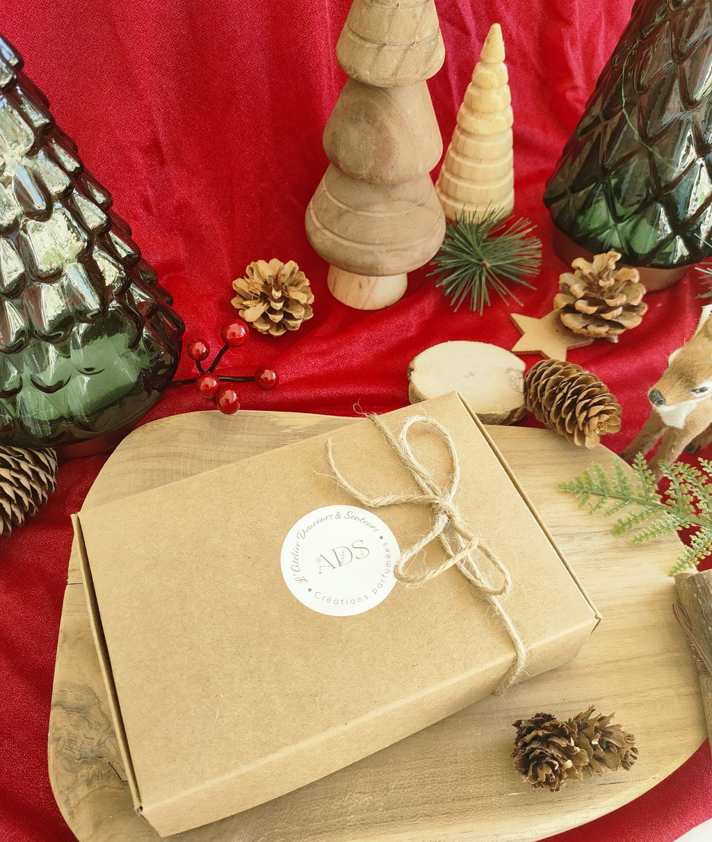 Coffret découverte Noël– 6 fondants parfumés "cire végétale"